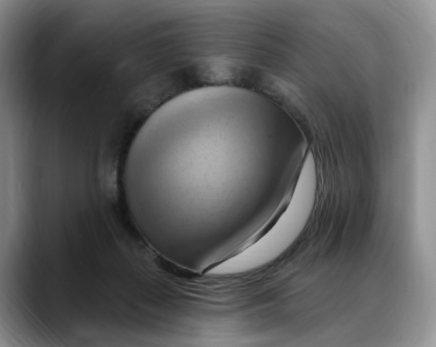 X0000088490267200706121554