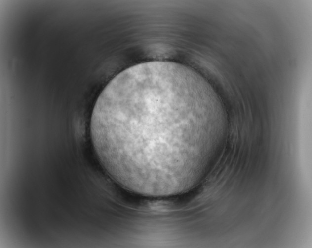 X0000088490268200706121554