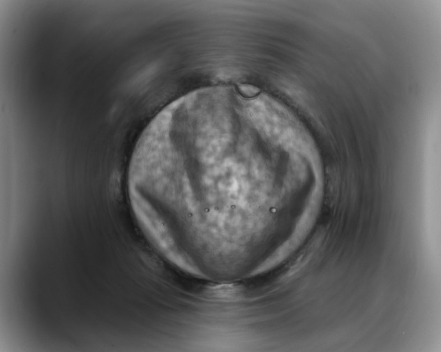 X0000088490269200706121554
