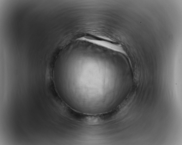 X0000088490272200706121554