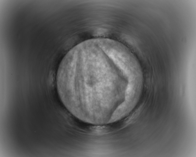 X0000088490273200706121554