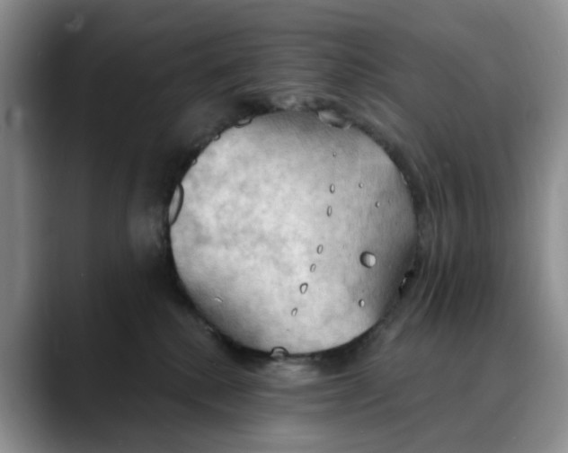 X0000088490280200706121554