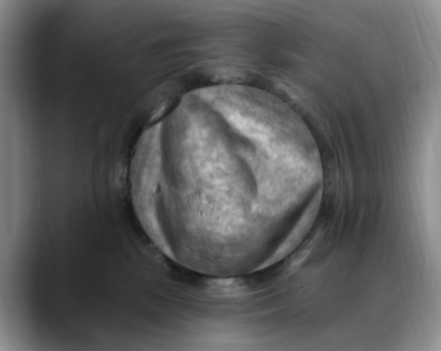 X0000088490281200706121554