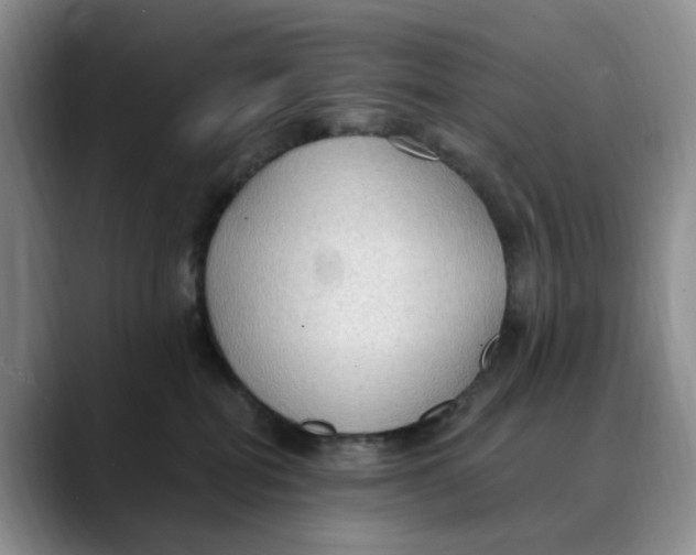 X0000088490282200706121554