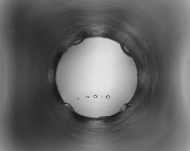 X0000088490283200706121554