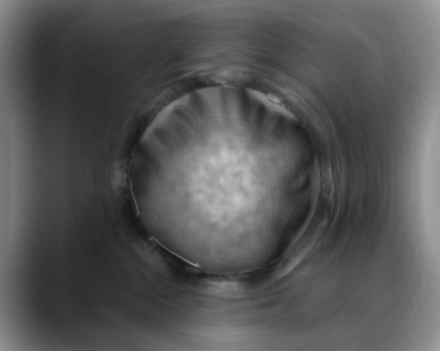 X0000088490284200706121554
