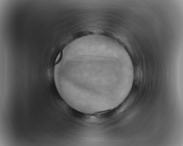 X0000088490285200706121554