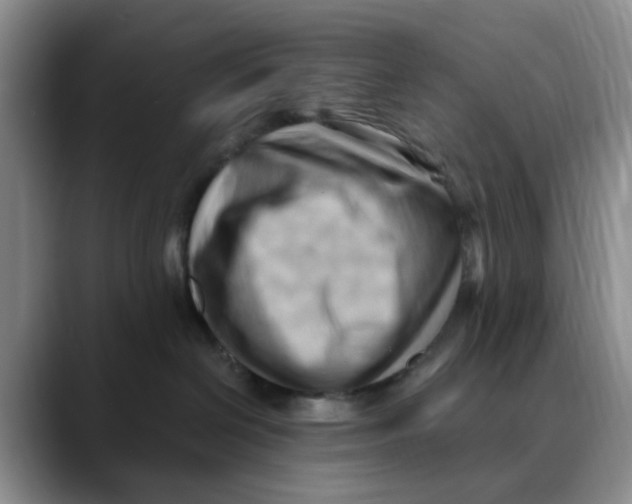 X0000088490286200706121554