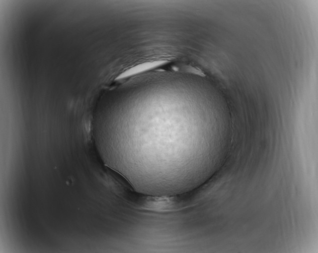 X0000088490288200706121554