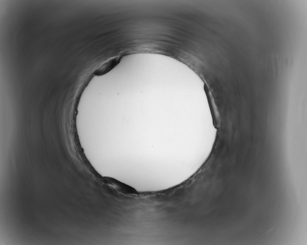 X0000088490289200706121554