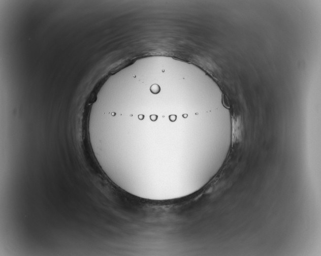 X0000088490291200706121554