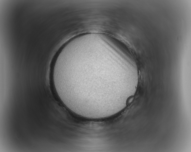 X0000088490292200706121554