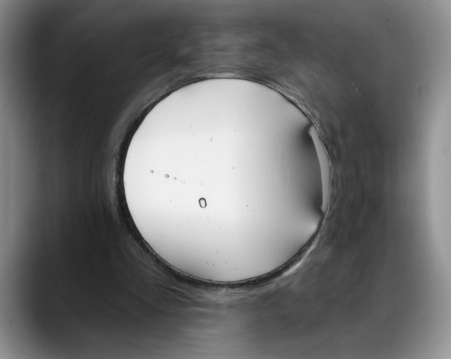 X0000088490293200706121554