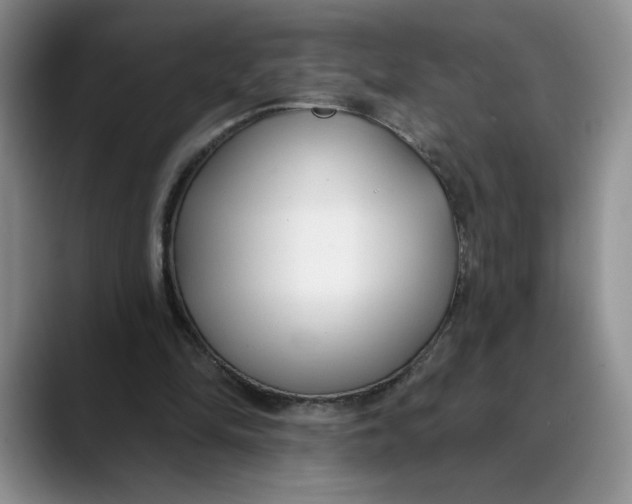 X0000088490294200706121554