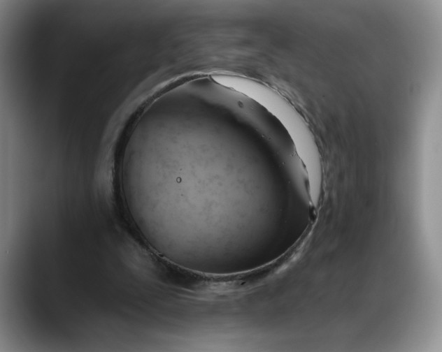 X0000088490295200706121554