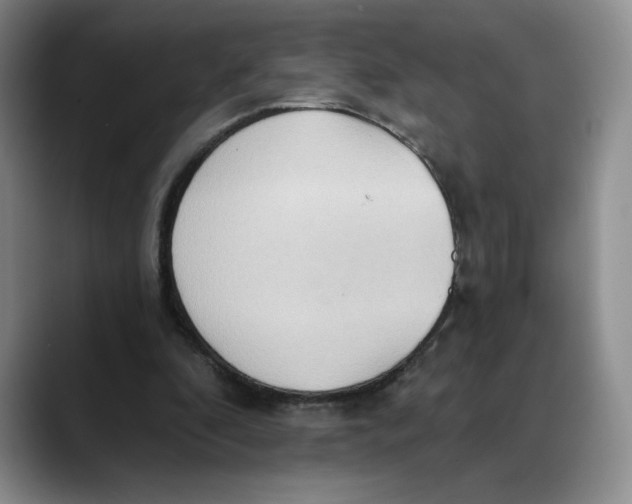 X0000088490296200706121554