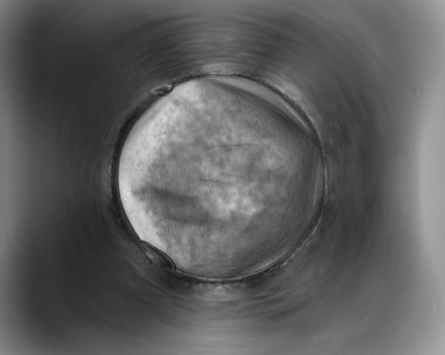 X0000088490297200706121554