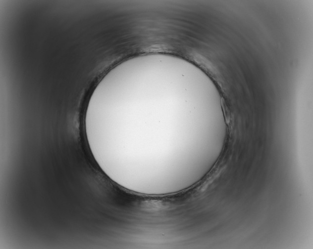 X0000088490298200706121554