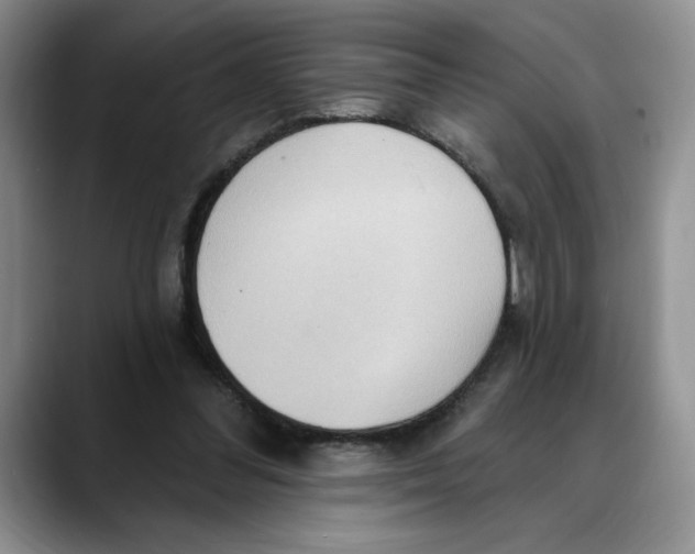 X0000088490300200706121554
