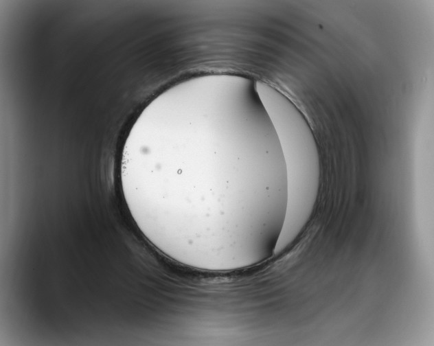 X0000088490301200706121554