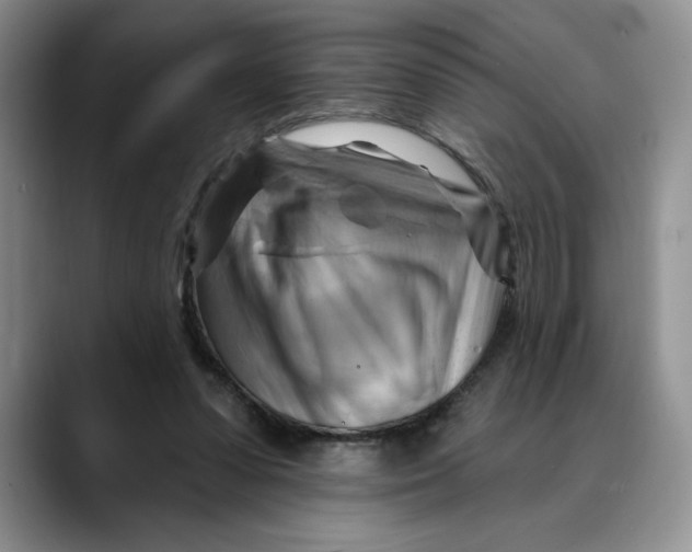 X0000088490303200706121554