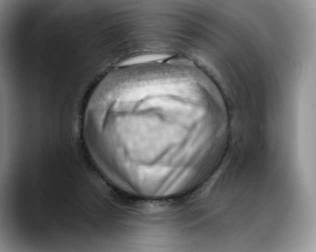 X0000088490305200706121554