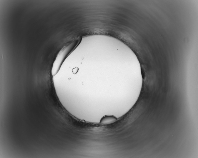 X0000088490306200706121554