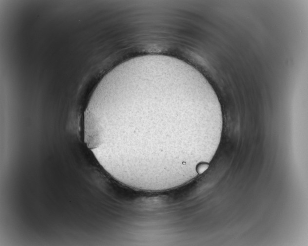 X0000088490307200706121554
