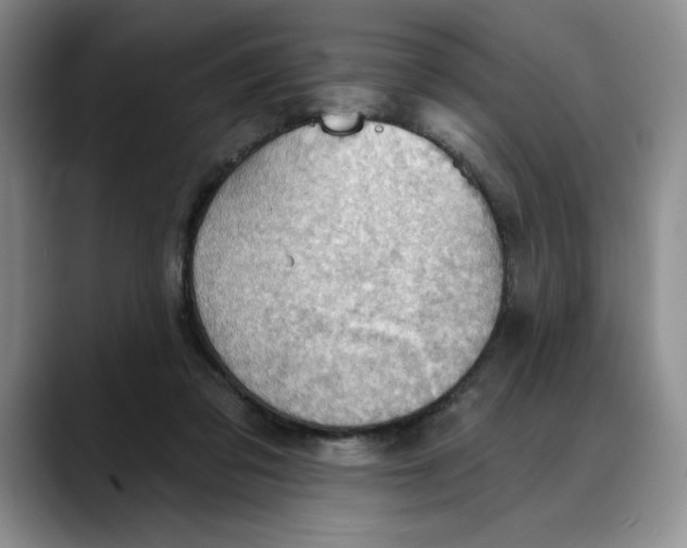 X0000088490309200706121554