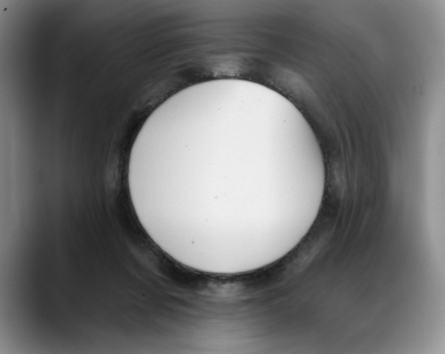 X0000088490311200706121554