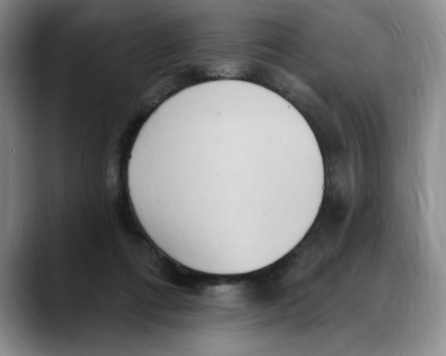 X0000088490312200706121554