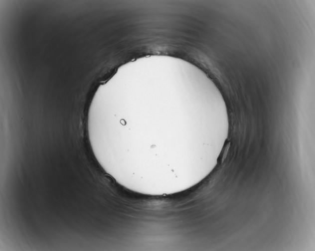 X0000088490313200706121554