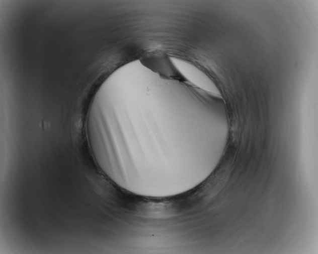 X0000088490314200706121554