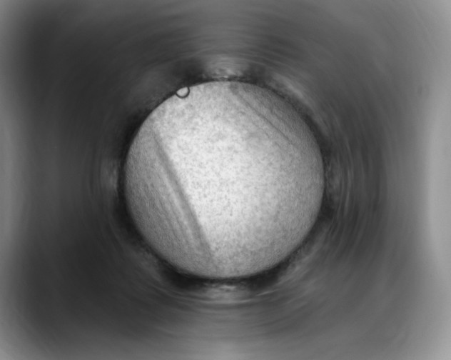 X0000088490315200706121554