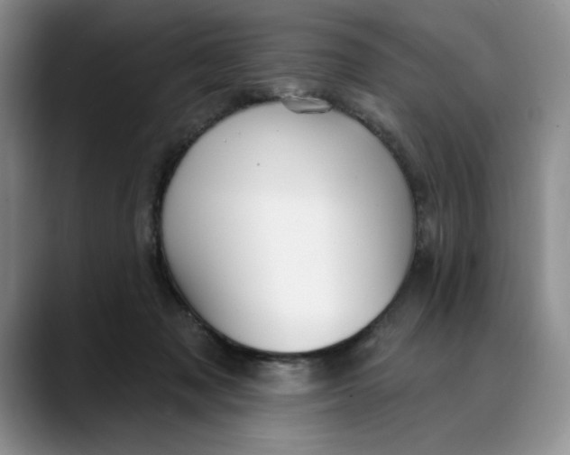 X0000088490317200706121553