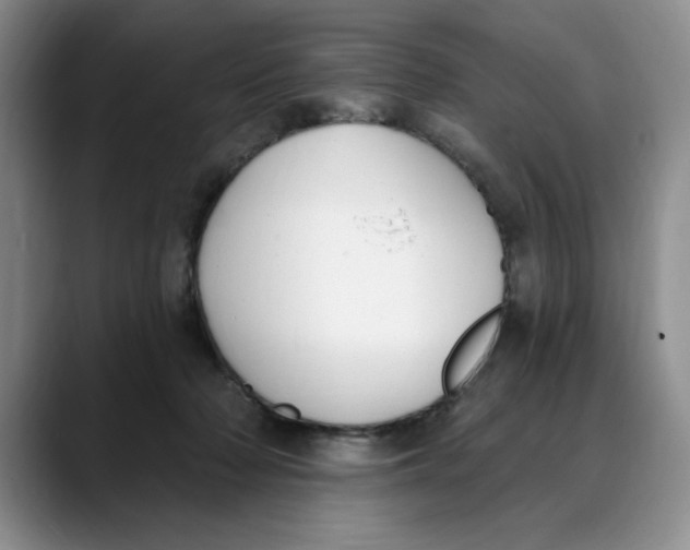 X0000088490318200706121553