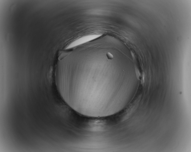X0000088490319200706121553