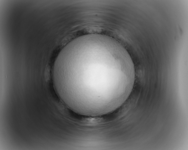 X0000088490323200706121553