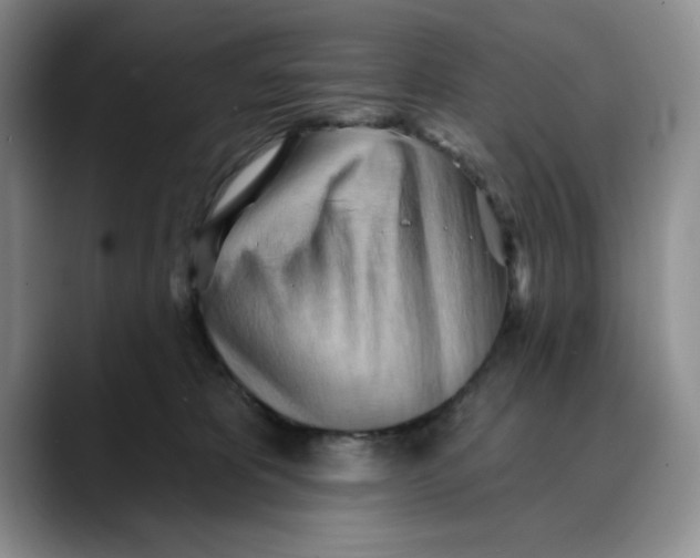 X0000088490325200706121553
