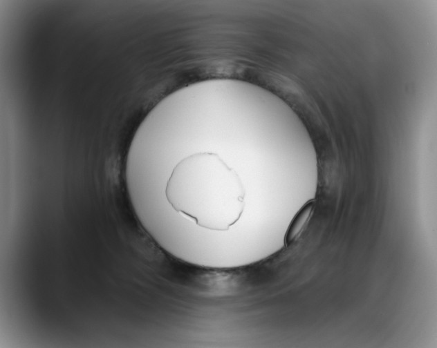 X0000088490326200706121553