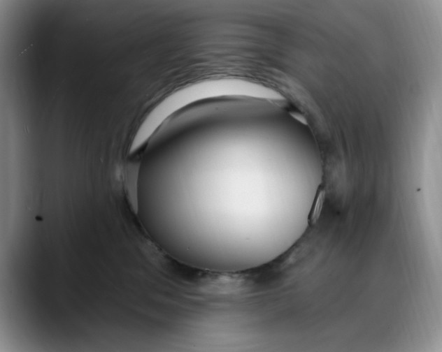 X0000088490329200706121553