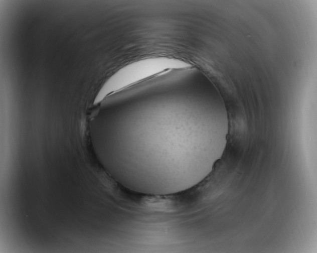 X0000088490331200706121553