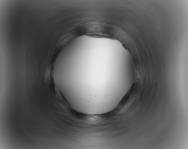 X0000088490333200706121553