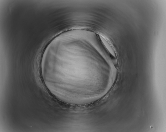 X0000088490337200706121553