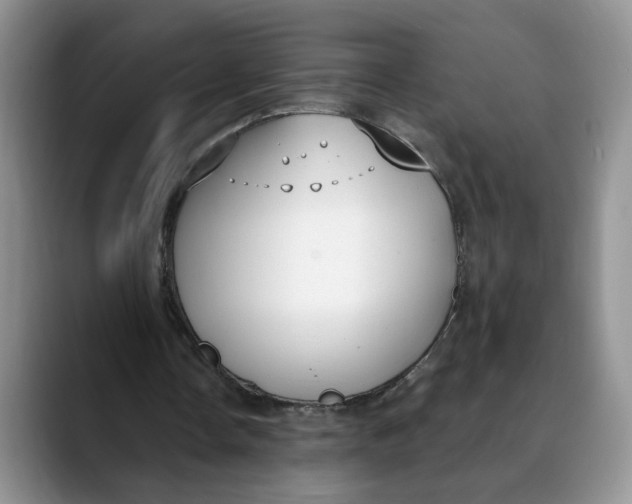 X0000088490338200706121553