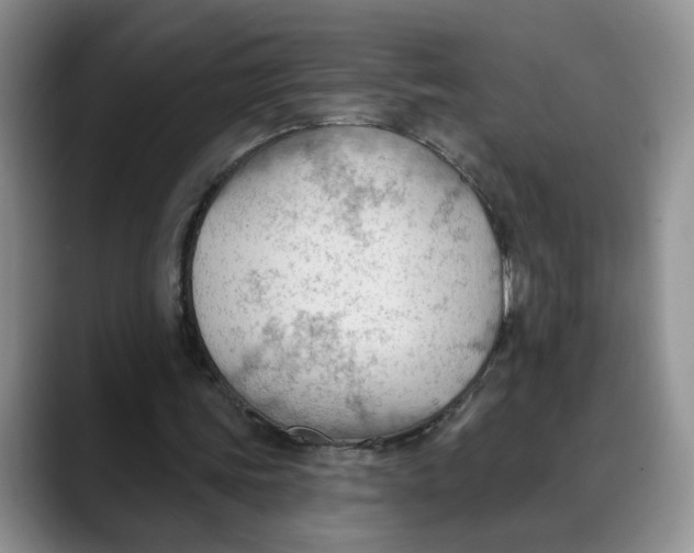 X0000088490339200706121553