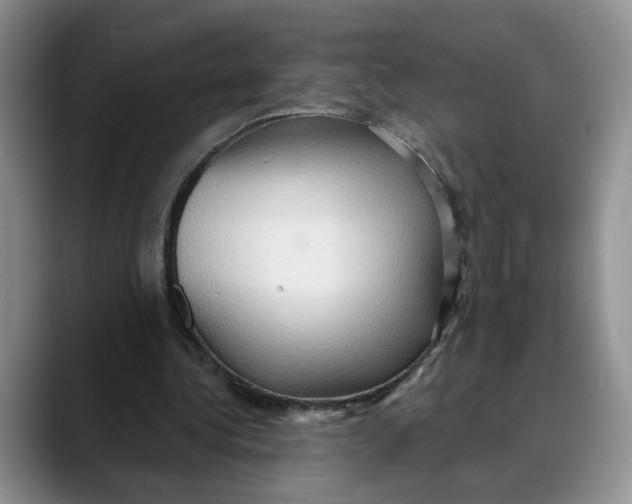 X0000088490340200706121553