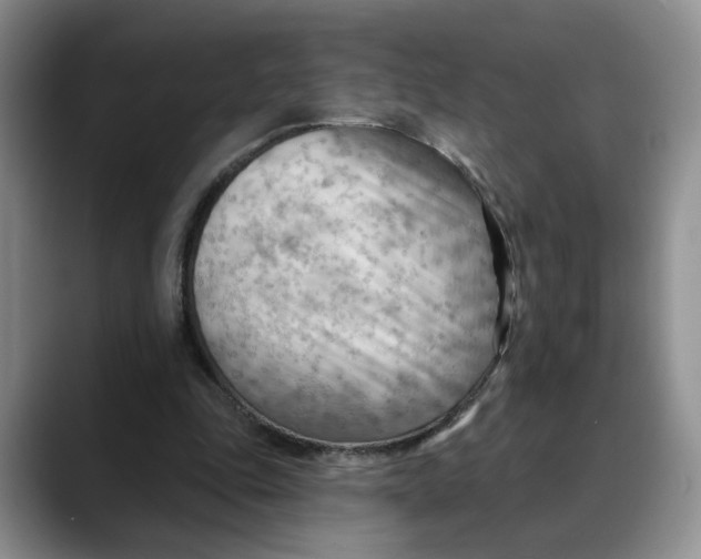 X0000088490343200706121553