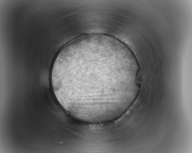 X0000088490345200706121553