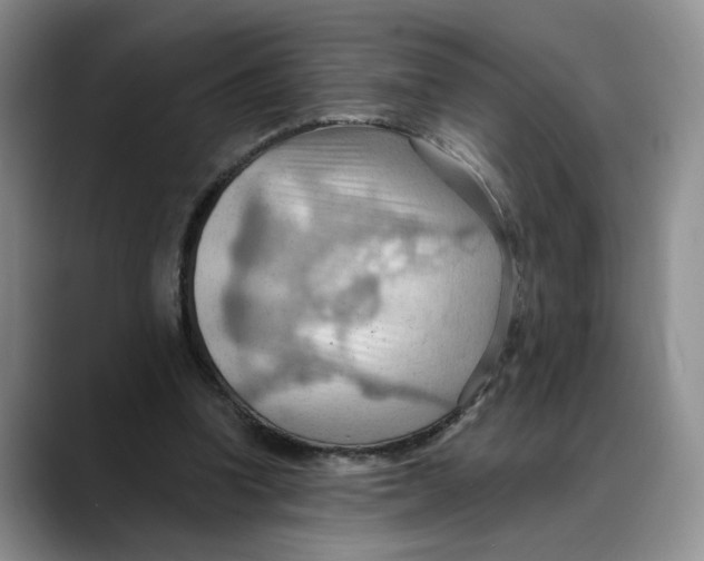 X0000088490346200706121553